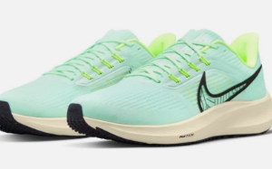 Nike Air Zoom Pegasus 39    13m